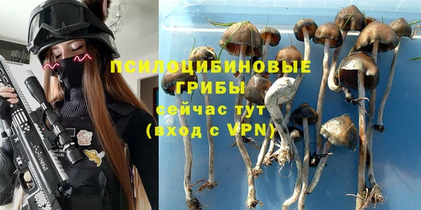 прущие крисы Баксан
