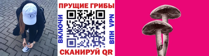 Галлюциногенные грибы ЛСД  Валдай 